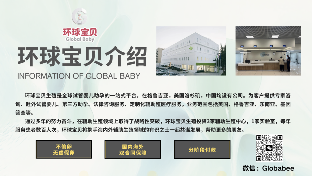 环球宝贝介绍图