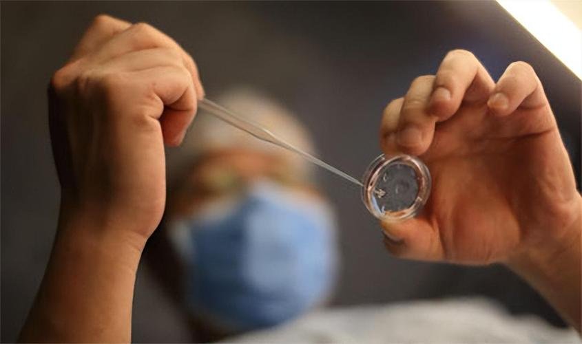 做不了试管可以美国代孕吗_做不了试管可以美国代孕吗_做不了试管可以美国代孕吗