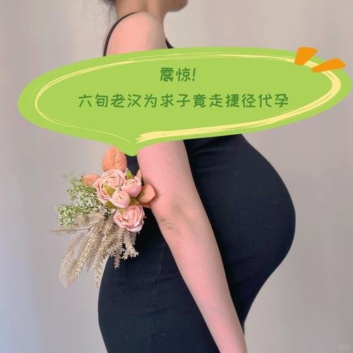 试管代孕_试管代孕费用_试管多次失败美国代孕