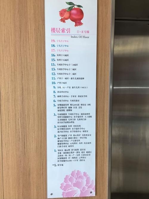 洛杉矶坐月子中心_美国月子中心洛杉矶推荐_洛杉矶月子中心被扫荡